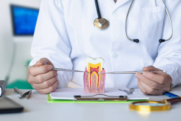Best Emergency Denture Repair in Wantagh, NY